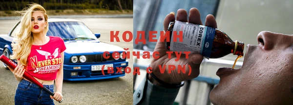 прущая мука Нея