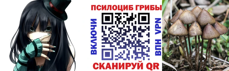 Псилоцибиновые грибы MAGIC MUSHROOMS  Костерёво 